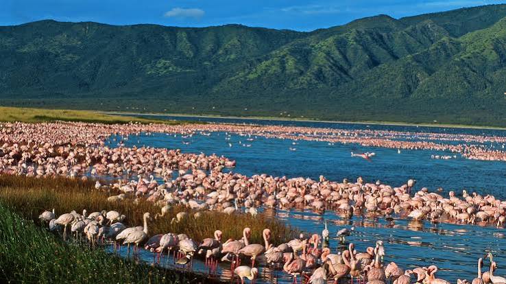 Great Rift Valley landscape in northern Tanzania
